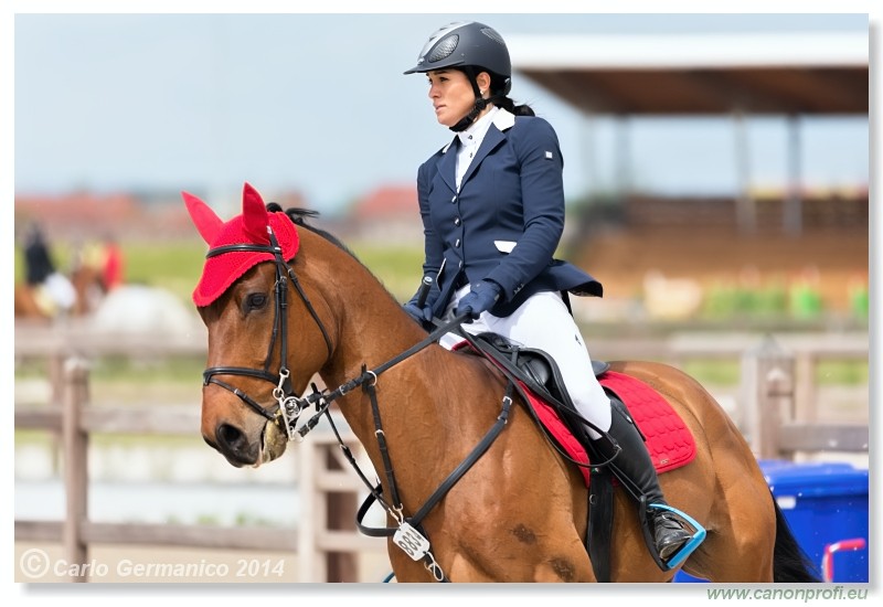 Spring Opening Hippo 