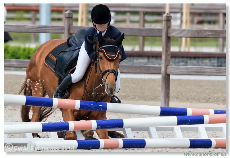 Spring Opening Hippo 