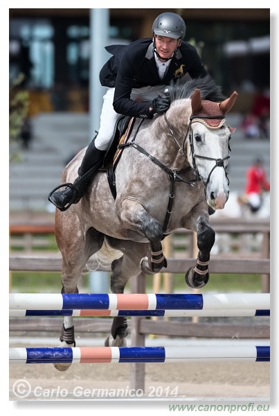 Spring Opening Hippo 