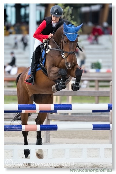 Spring Opening Hippo 