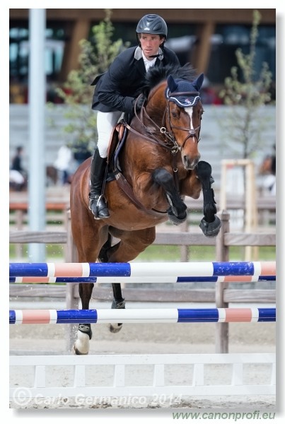 Spring Opening Hippo 