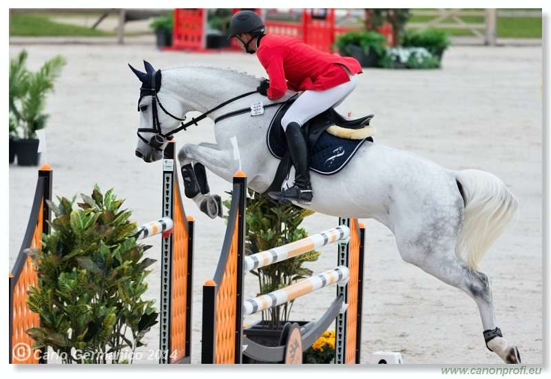 Spring Opening Hippo 