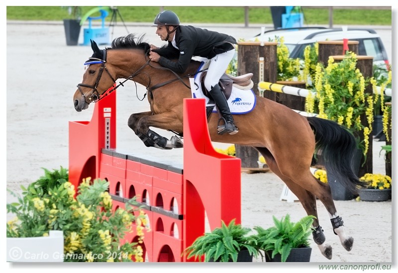 Spring Opening Hippo 