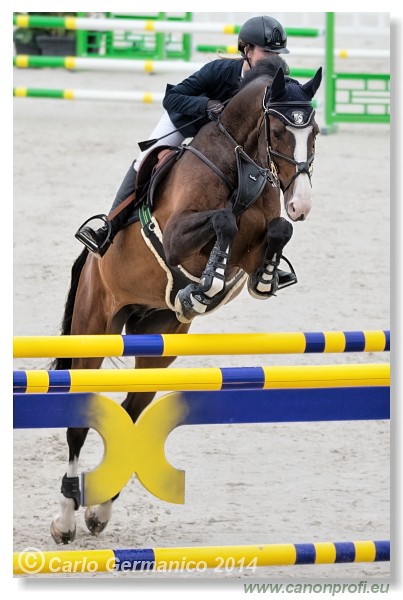 Spring Opening Hippo 