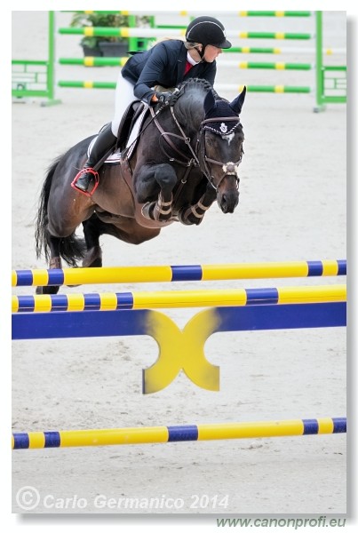 Spring Opening Hippo 