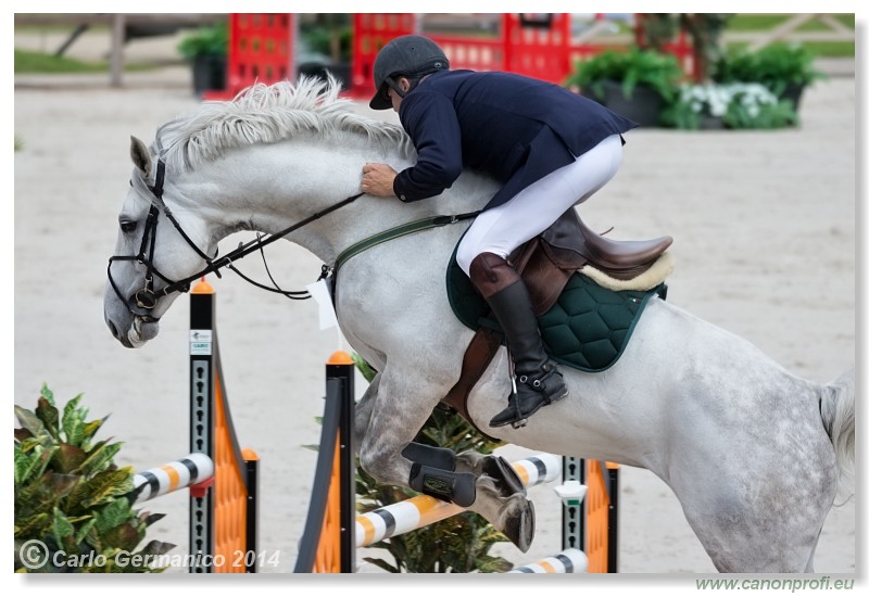 Spring Opening Hippo 