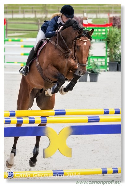 Spring Opening Hippo 