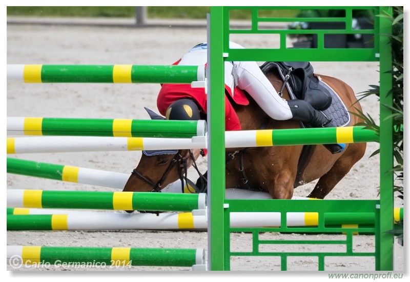 Spring Opening Hippo 