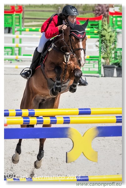 Spring Opening Hippo 