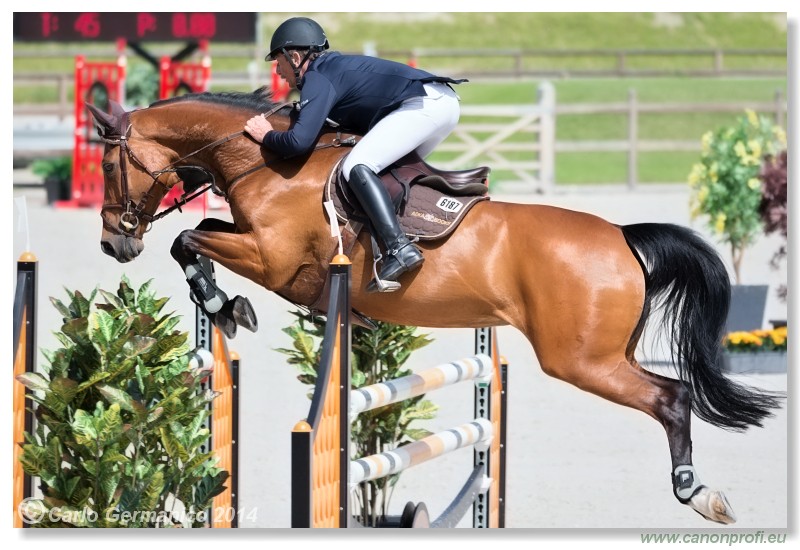 Spring Opening Hippo 