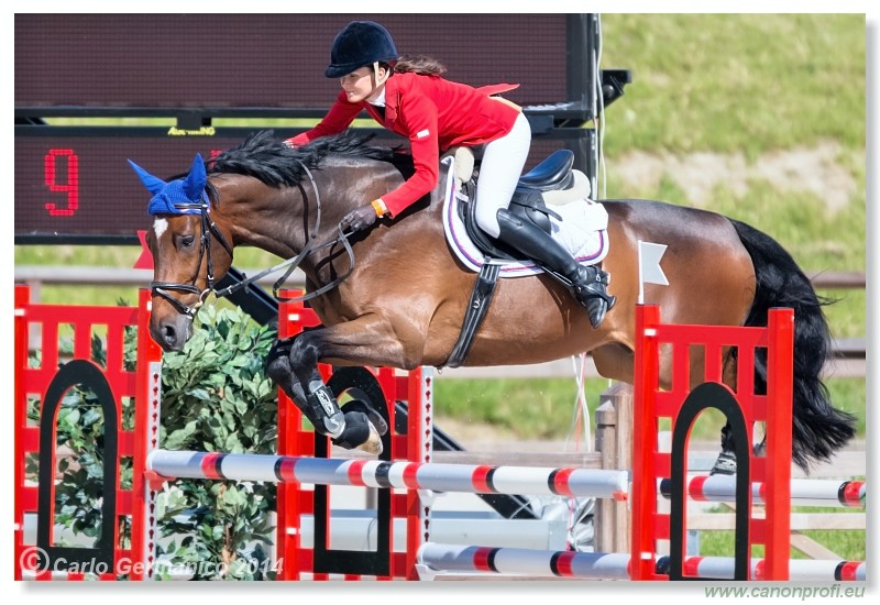 Spring Opening Hippo 