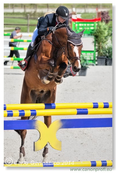 Spring Opening Hippo 