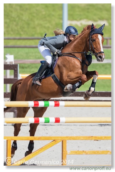 Spring Opening Hippo 