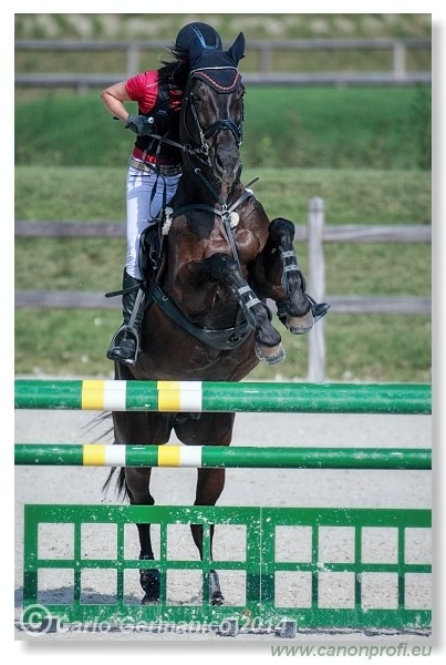 �amor�n - 27. j�na 2014