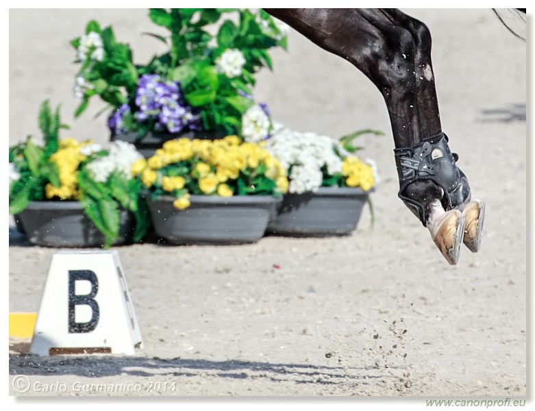 �amor�n - CSI2* Grand Prix Napoli