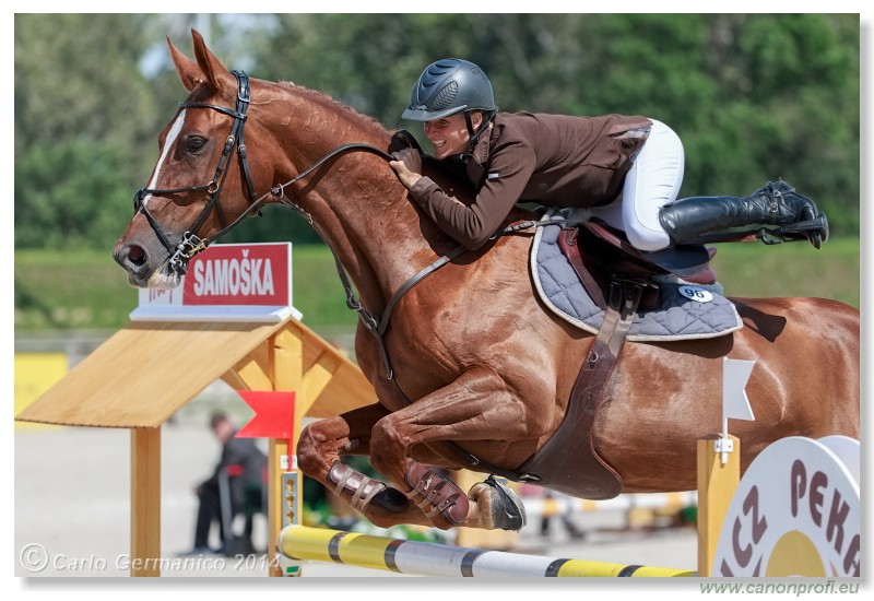 �amor�n - CSI3* Grand Prix of �amor�n