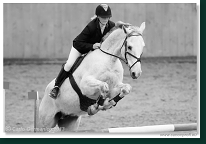 Zimn� liga 2013 - III. kvalifik�cia