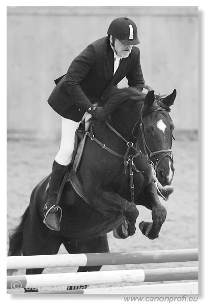 Zimn� liga 2013 - III. kvalifik�cia