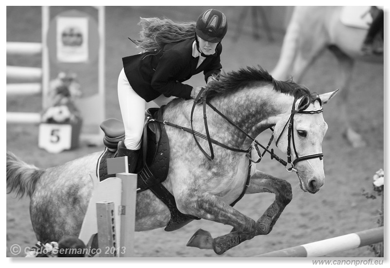 Zimn� liga 2013 - III. kvalifik�cia