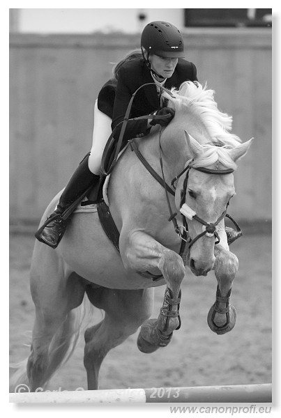 Zimn� liga 2013 - III. kvalifik�cia