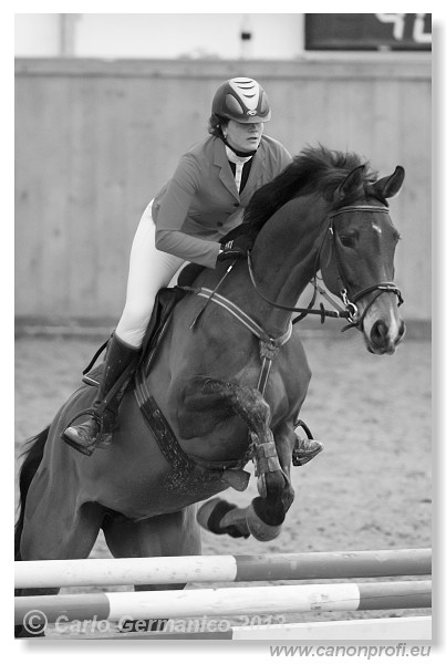 Zimn� liga 2013 - III. kvalifik�cia