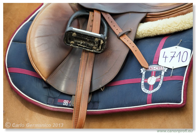 Zimn� liga 2013 - III. kvalifik�cia