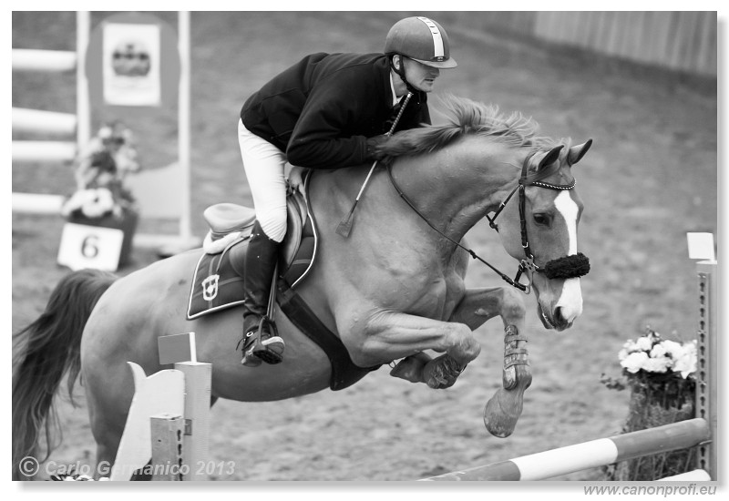 Zimn� liga 2013 - III. kvalifik�cia