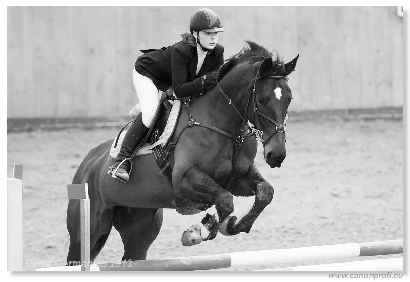 Zimn� liga 2013 - III. kvalifik�cia