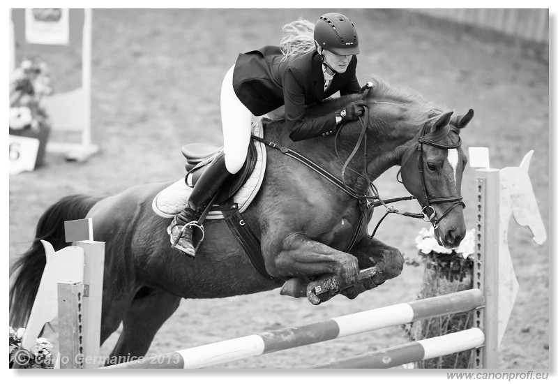 Zimn� liga 2013 - III. kvalifik�cia