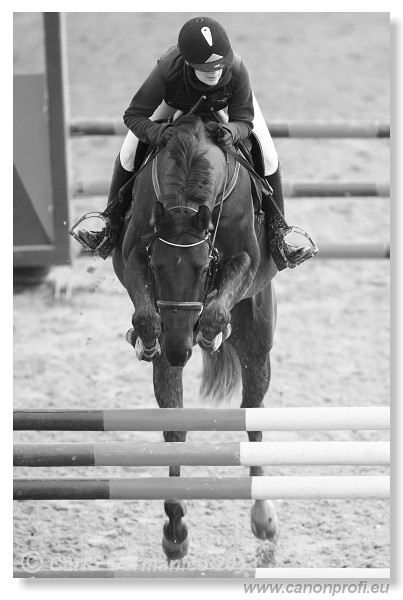 Zimn� liga 2013 - III. kvalifik�cia