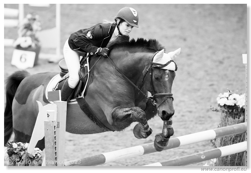 Zimn� liga 2013 - III. kvalifik�cia