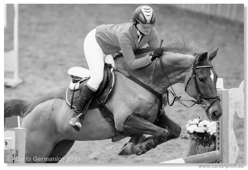 Zimn� liga 2013 - III. kvalifik�cia