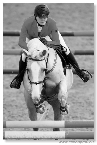 Zimn� liga 2013 - III. kvalifik�cia