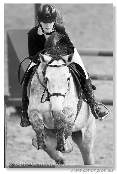 Zimn� liga 2013 - III. kvalifik�cia