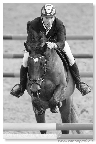 Zimn� liga 2013 - III. kvalifik�cia