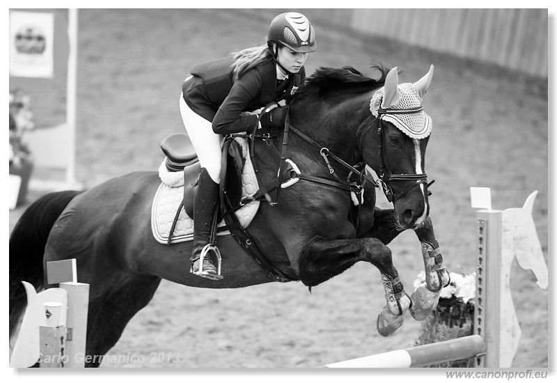 Zimn� liga 2013 - III. kvalifik�cia