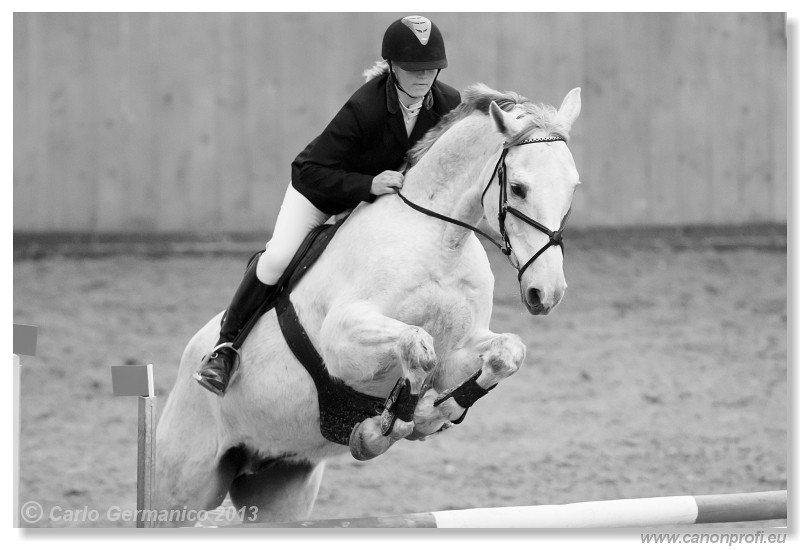 Zimn� liga 2013 - III. kvalifik�cia