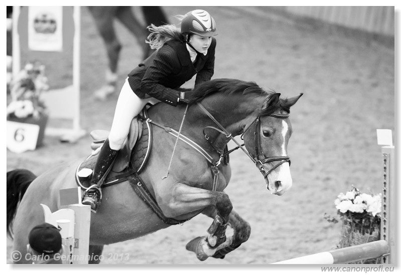 Zimn� liga 2013 - III. kvalifik�cia