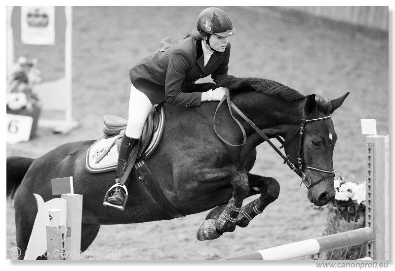 Zimn� liga 2013 - III. kvalifik�cia