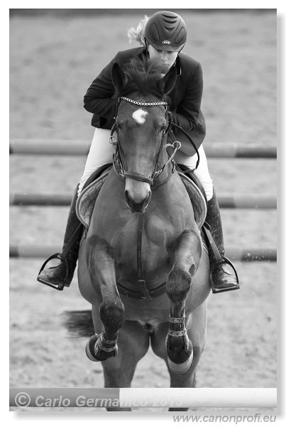 Zimn� liga 2013 - III. kvalifik�cia