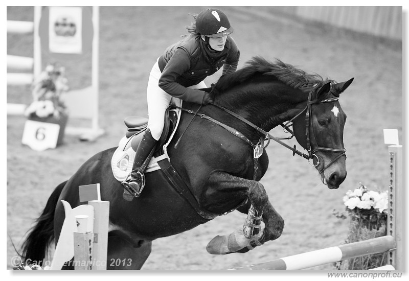 Zimn� liga 2013 - III. kvalifik�cia