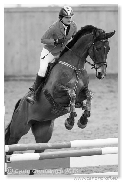 Zimn� liga 2013 - III. kvalifik�cia