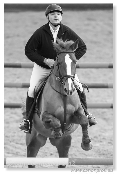 Zimn� liga 2013 - III. kvalifik�cia