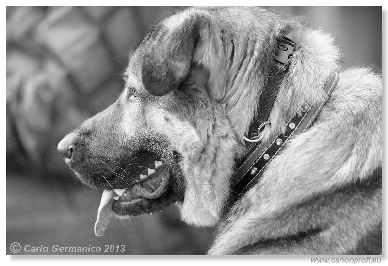 Zimn� liga 2013 - III. kvalifik�cia