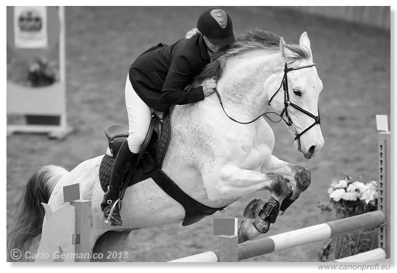 Zimn� liga 2013 - III. kvalifik�cia