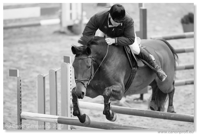 Zimn� liga 2013 - III. kvalifik�cia