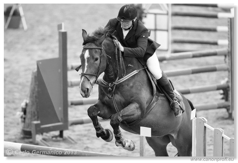 Zimn� liga 2013 - III. kvalifik�cia