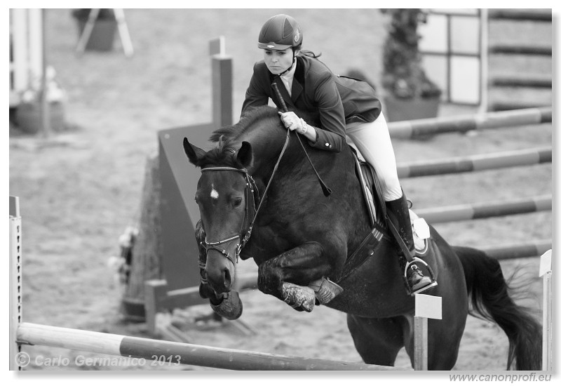 Zimn� liga 2013 - III. kvalifik�cia