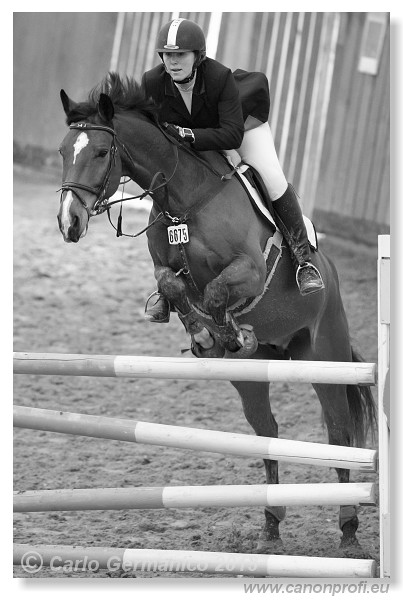 Zimn� liga 2013 - III. kvalifik�cia