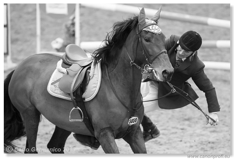 Zimn� liga 2013 - III. kvalifik�cia